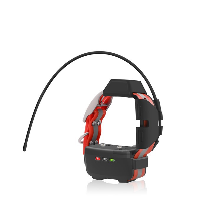 Mini collar de perro con GPS