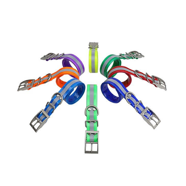 Correa premium para collar de perro de caza TR-Dog